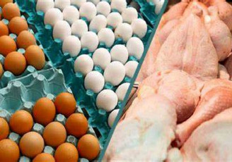 جدید ترین قیمت مرغ و تخم مرغ در بازار
