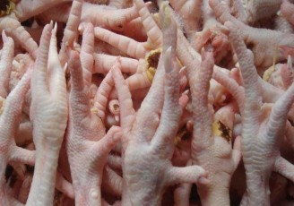 صادرات پاي مرغ ايران به چين