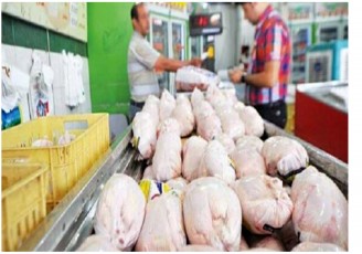 عرضه مرغ گرم زیر قیمت بازار