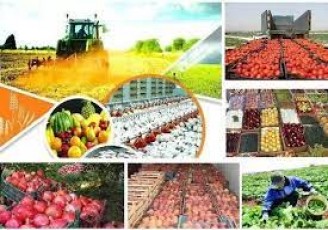 افزایش ۲۴ درصدی صادرات محصولات کشاورزی و غذایی
