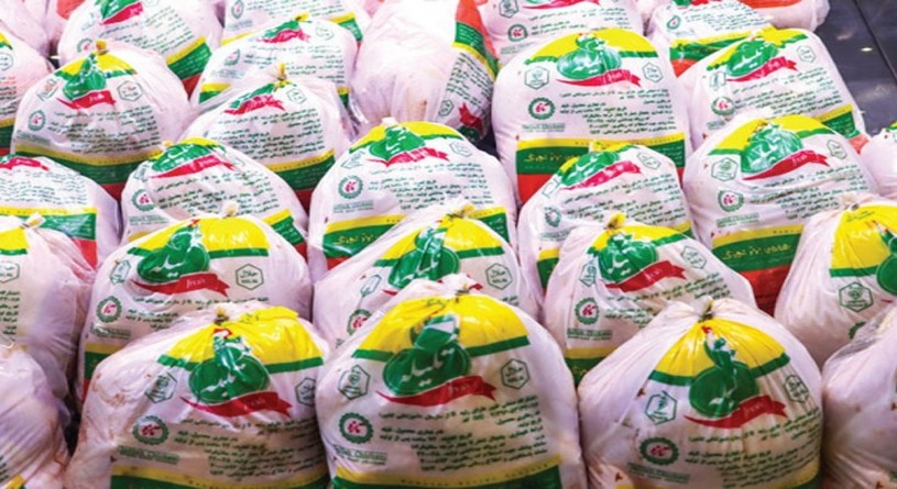 صادرات ۵ هزار تن مرغ به عراق در روزهای آتی