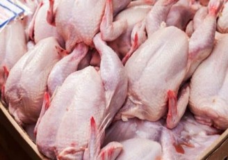 صادرات گوشت مرغ لرستان به عراق آغاز می‌شود