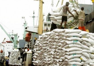 انتقاد از اختصاص ارز ترجیحی برای واردات برنج