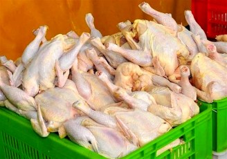 قیمت مرغ برای ماه رمضان کاهش نخواهد داشت| فروش مرغ قطعه‌بندی از امروز