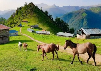 کاهش نسبی دما در نوار شمالی کشور