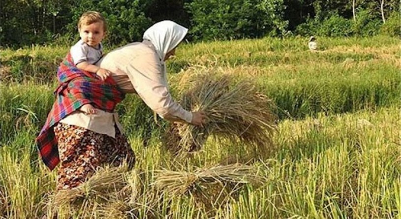 پوشش بیمه‌ای تمامی زنان سرپرست خانوار روستایی