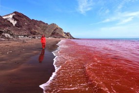 دریای سرخ، یکی از زیباترین عجایب زیر آب دنیا