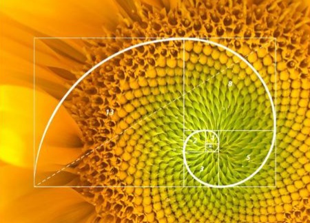 دنباله فیبوناچی در پایتون