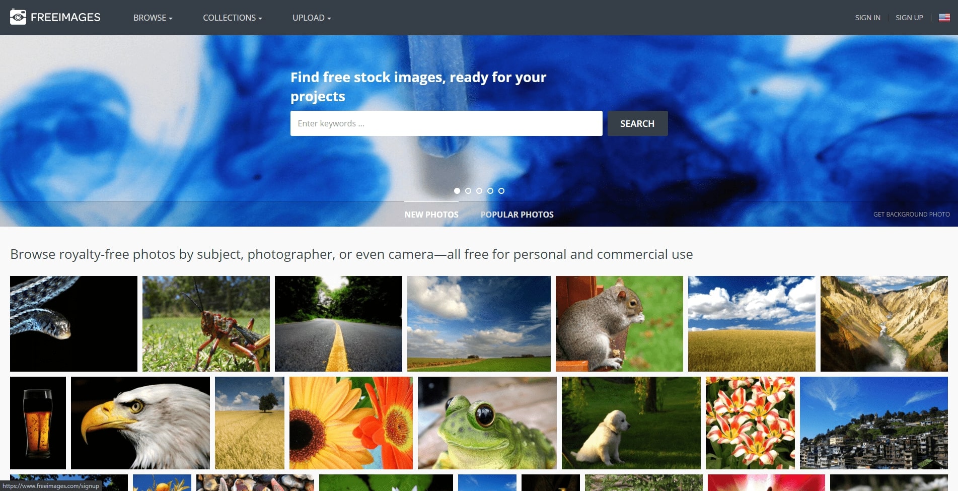 design
designer
image
picture
website
freeimages