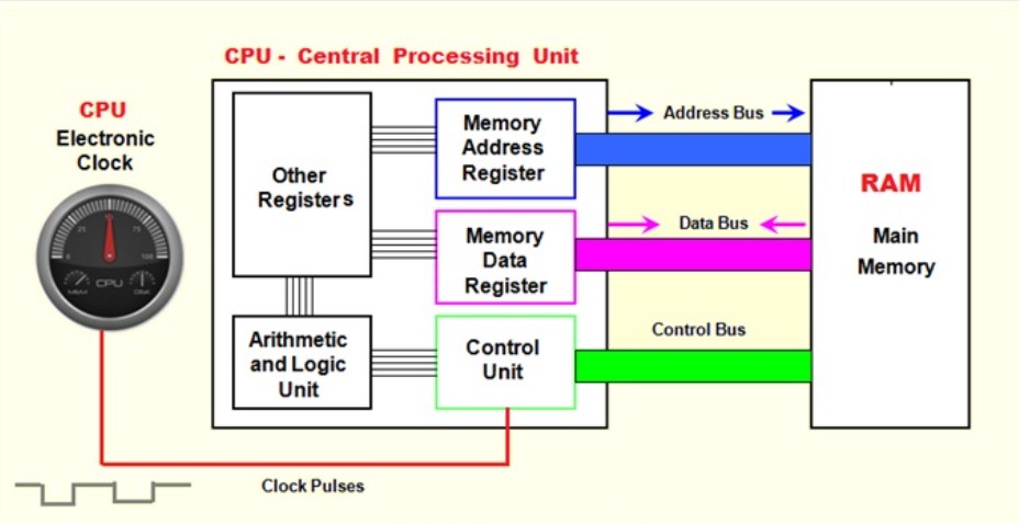 جایگاه و ساختار Data bus و Address bus و Control bus