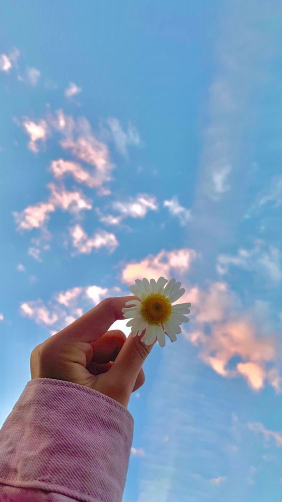 پروفایل