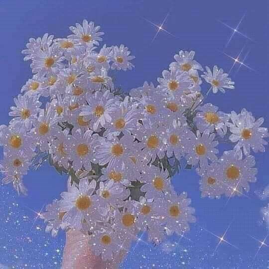 پروفایل