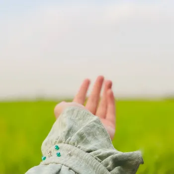 فهیمه محمودی