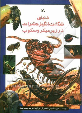 دنیای شگفت انگیز حشرات در زیر میکروسکوپ