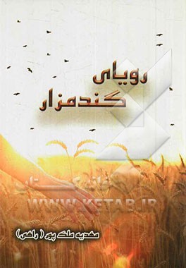 رویای گندمزار