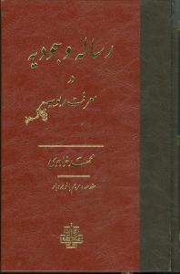 رسالت وجودیه در معرفت ربوبیه