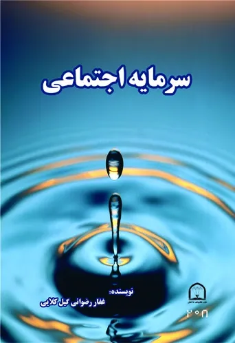 سرمایه اجتماعی