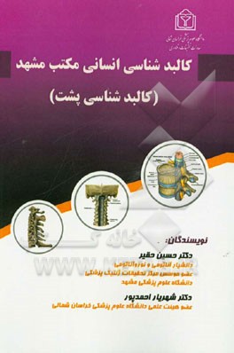 کالبدشناسی پشت