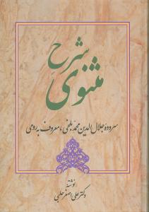 شرح مثنوی (ابیات 3325 تا 4003)