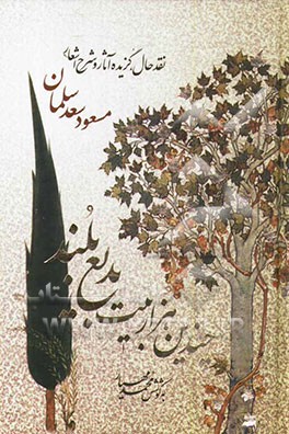 چندین هزار بیت بدیع بلند: نقد حال، گزیده آثار و شرح اشعار مسعود سعدسلمان