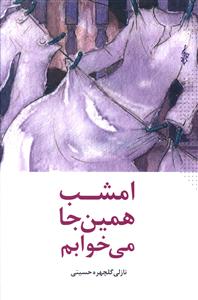 امشب همین جا می خوابم