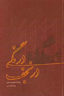 درنگی در نجف: سفرنامه خادم و زائر اربعین حسینی (صفر 1437، آبان و آذر 1394)