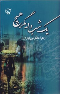 یک شب و دیگر هیچ
