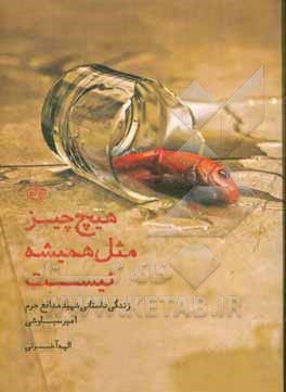 هیچ چیز مثل همیشه نیست: زندگی نامه داستانی شهید مدافع حرم امیر سیاوشی