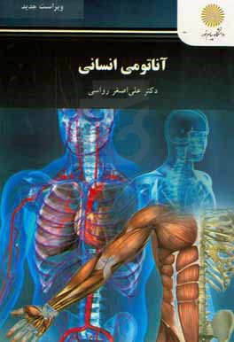 آناتومی انسانی