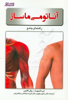 آناتومی ماساژ: راهنمای جامع