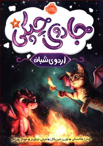 اردوی شبانه