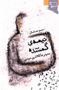 نیمه ی گمشده