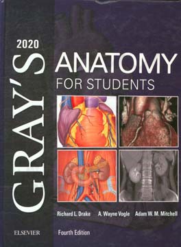 Gray's anatomy for students