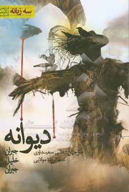 دیوانه = المجنون