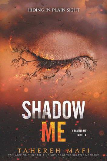 SHADOW ME (بر من سایه بزن ، جلد ۴,۵)