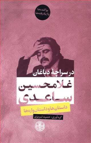 در سراچه دباغان: داستان ها و داستان واره ها