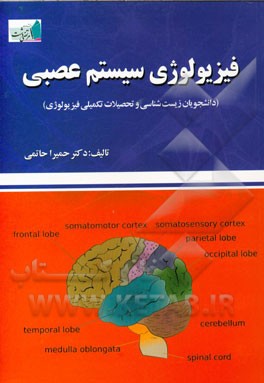 فیزیولوژی سیستم عصبی مرکزی