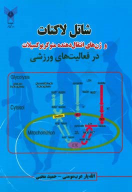 شاتل لاکتات و ژن های انتقال دهنده منو کربوکسیلات در فعالیت های ورزشی