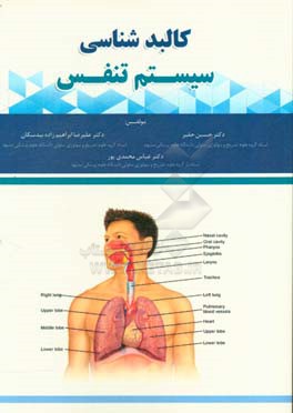 کالبدشناسی سیستم تنفسی