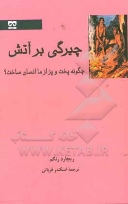 چیرگی بر آتش: چگونه پخت وپز از ما انسان ساخت؟