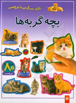 بچه گربه ها: بازی، سرگرمی با برچسب