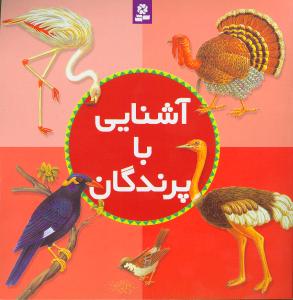 آشنایی با پرندگان