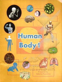 The human body