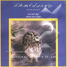 مرغ حق یاد می گیرد که چطور شکار کند (داستان یک بچه جغد)