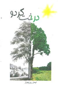 درخت گردو