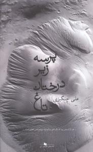 پرسه زیر درختان تاغ