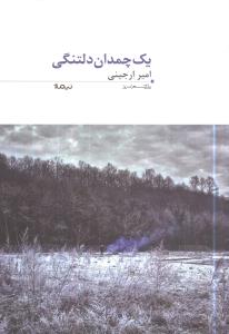 یک چمدان دلتنگی