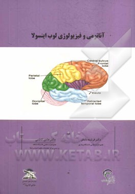 آناتومی و فیزیولوژی لوب اینسولا