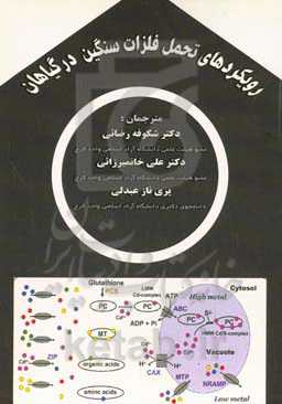 رویکردهای تحمل فلزات سنگین در گیاهان