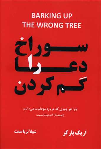 سوراخ دعا را گم کردن: دانش شگفت انگیز پشت اینکه چرا هر چیزی که درباره موفقیت می دانیم (عمدتا) اشتباه است